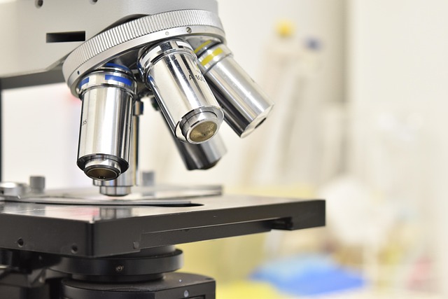 延遲低氣味胺催化劑led-204在家具和床墊用聚氨酯泡沫中的應用前景